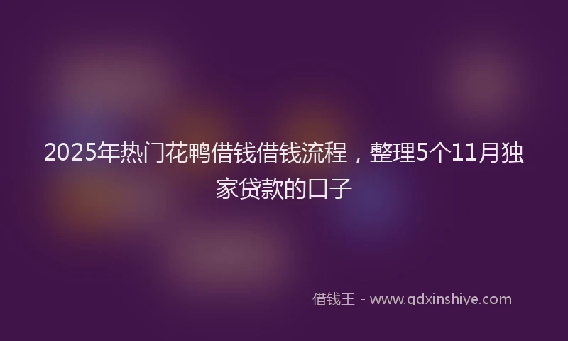 2025年热门花鸭借钱借钱流程，整理5个11月独家贷款的口子