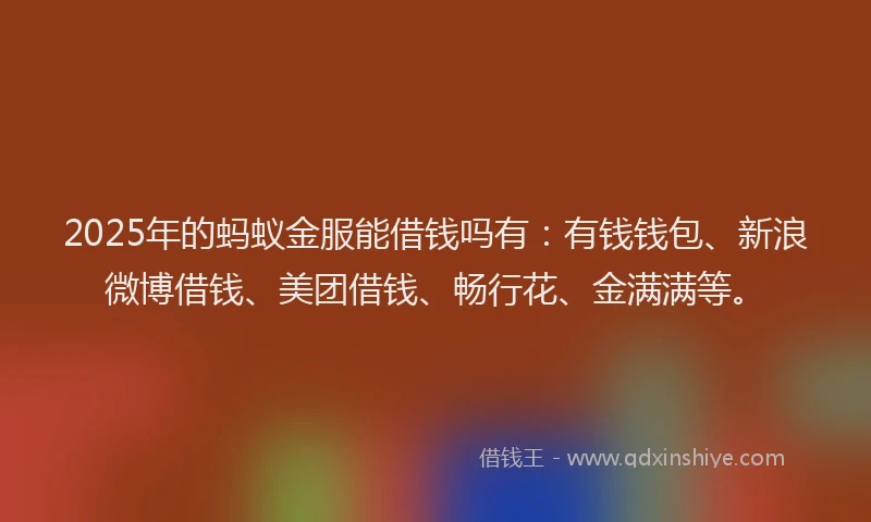 2025年的蚂蚁金服能借钱吗有：有钱钱包、新浪微博借钱、美团借钱、畅行花、金满满等。