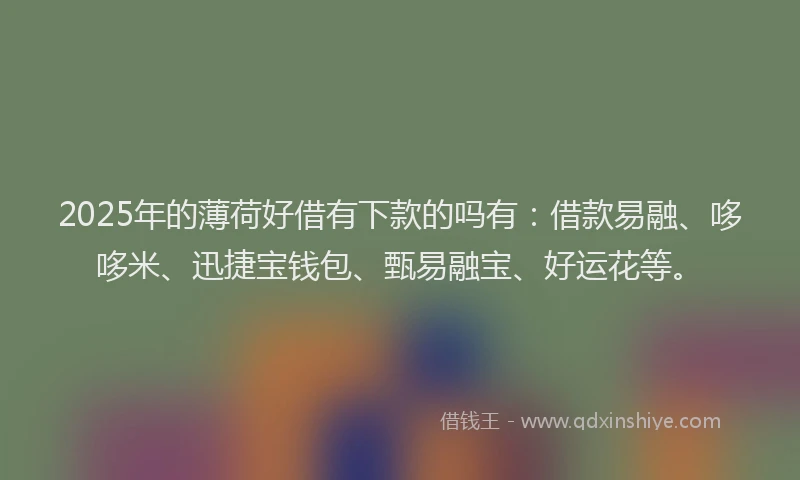 2025年的薄荷好借有下款的吗有：借款易融、哆哆米、迅捷宝钱包、甄易融宝、好运花等。