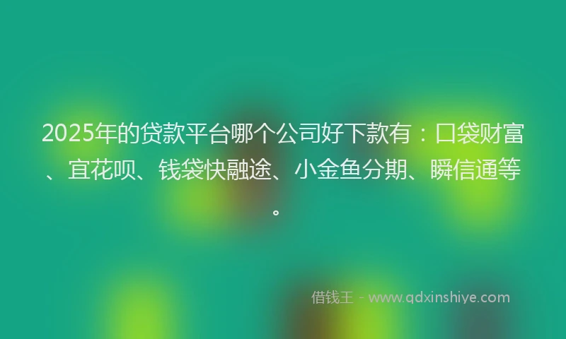 2025年的贷款平台哪个公司好下款有：口袋财富、宜花呗、钱袋快融途、小金鱼分期、瞬信通等。
