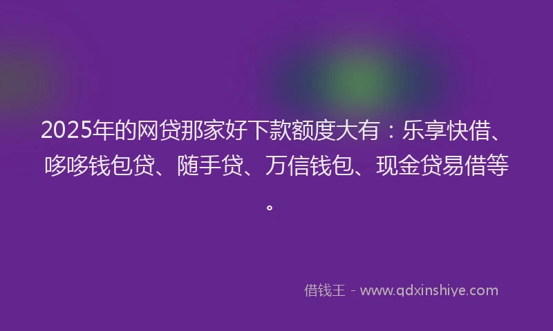 2025年的网贷那家好下款额度大有：乐享快借、哆哆钱包贷、随手贷、万信钱包、现金贷易借等。