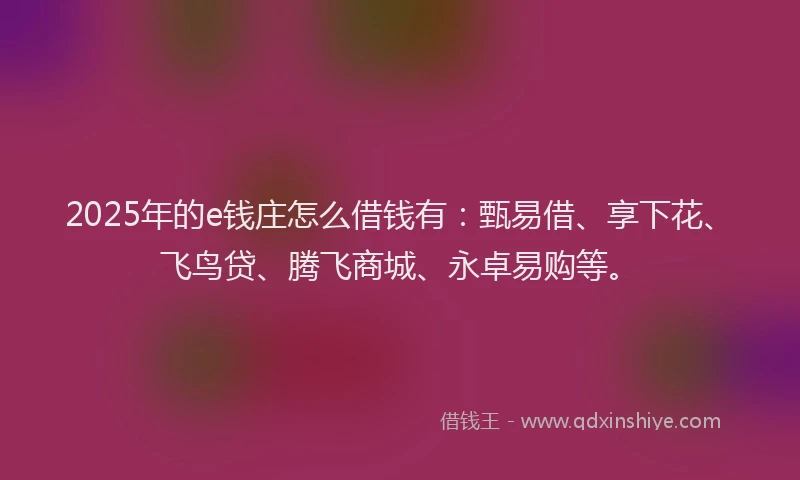 2025年的e钱庄怎么借钱有：甄易借、享下花、飞鸟贷、腾飞商城、永卓易购等。