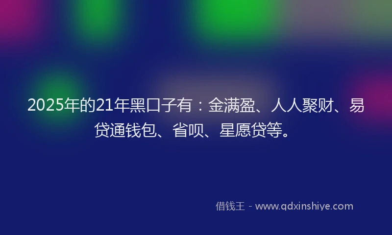 2025年的21年黑口子有：金满盈、人人聚财、易贷通钱包、省呗、星愿贷等。