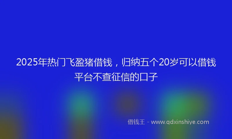 2025年热门飞盈猪借钱，归纳五个20岁可以借钱平台不查征信的口子