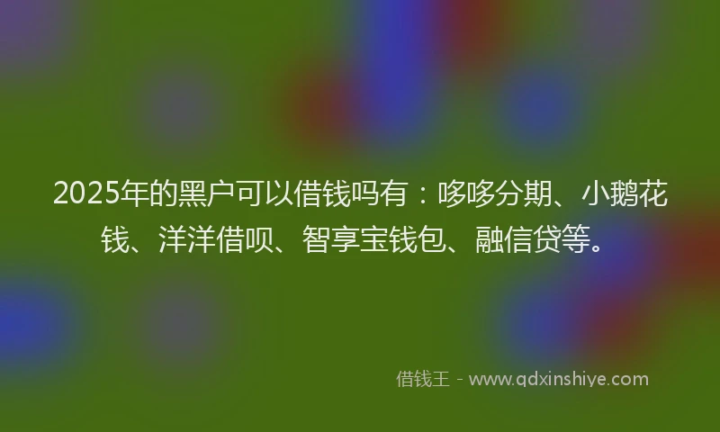 2025年的黑户可以借钱吗有：哆哆分期、小鹅花钱、洋洋借呗、智享宝钱包、融信贷等。