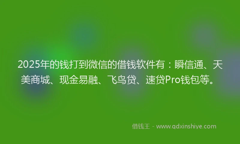 2025年的钱打到微信的借钱软件有：瞬信通、天美商城、现金易融、飞鸟贷、速贷Pro钱包等。