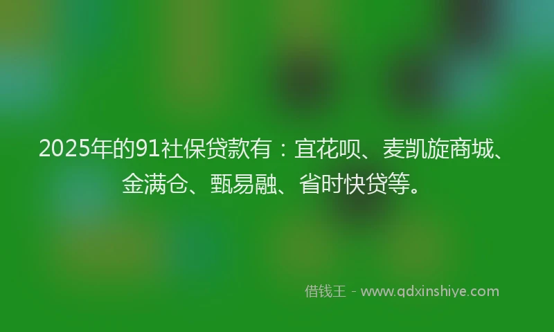 2025年的91社保贷款有：宜花呗、麦凯旋商城、金满仓、甄易融、省时快贷等。