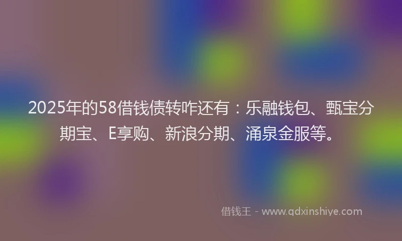 2025年的58借钱债转咋还有：乐融钱包、甄宝分期宝、E享购、新浪分期、涌泉金服等。