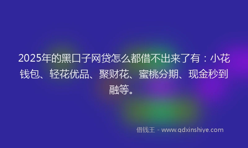 2025年的黑口子网贷怎么都借不出来了有:小花钱包、轻花优品、聚财花、蜜桃分期、现金秒到融等。