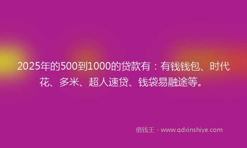 2025年的500到1000的贷款有：有钱钱包、时代花、多米、超人速贷、钱袋易融途等。
