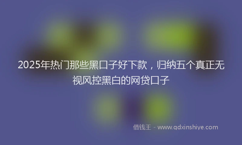 2025年热门那些黑口子好下款，归纳五个真正无视风控黑白的网贷口子