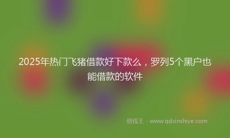 2025年热门飞猪借款好下款么，罗列5个黑户也能借款的软件