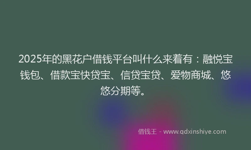 2025年的黑花户借钱平台叫什么来着有：融悦宝钱包、借款宝快贷宝、信贷宝贷、爱物商城、悠悠分期等。