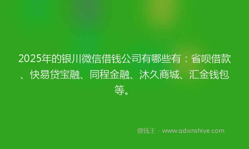 2025年的银川微信借钱公司有哪些有：省呗借款、快易贷宝融、同程金融、沐久商城、汇金钱包等。