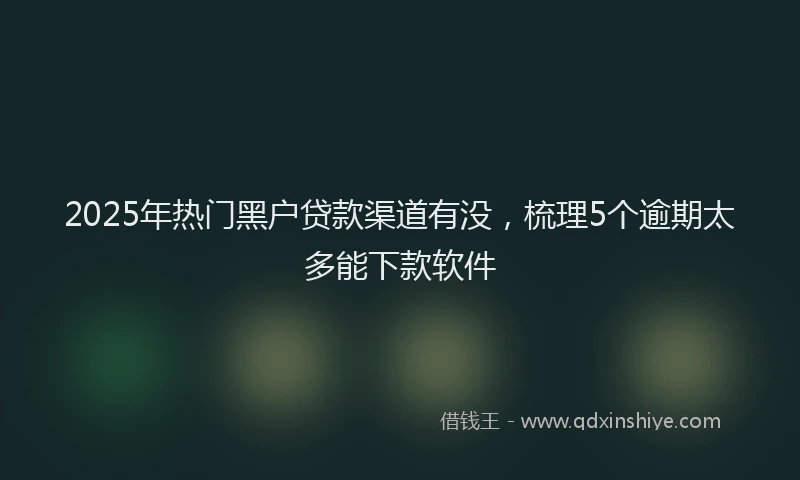 2025年热门黑户贷款渠道有没，梳理5个逾期太多能下款软件