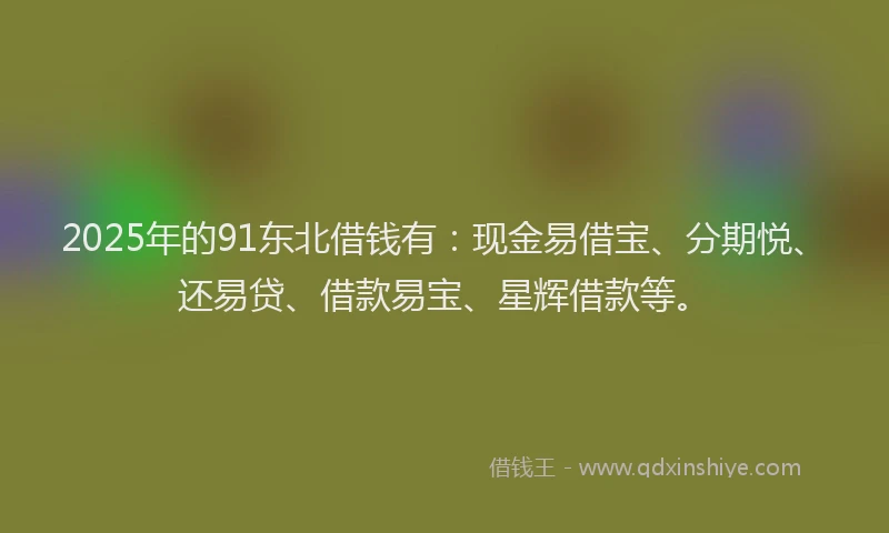 2025年的91东北借钱有：现金易借宝、分期悦、还易贷、借款易宝、星辉借款等。