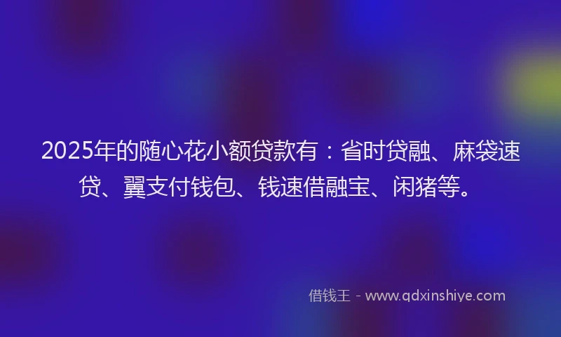 2025年的随心花小额贷款有：省时贷融、麻袋速贷、翼支付钱包、钱速借融宝、闲猪等。