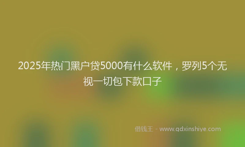 2025年热门黑户贷5000有什么软件，罗列5个无视一切包下款口子