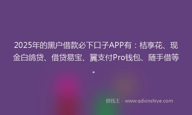 2025年的黑户借款必下口子APP有：桔享花、现金白鸽贷、借贷易宝、翼支付Pro钱包、随手借等。