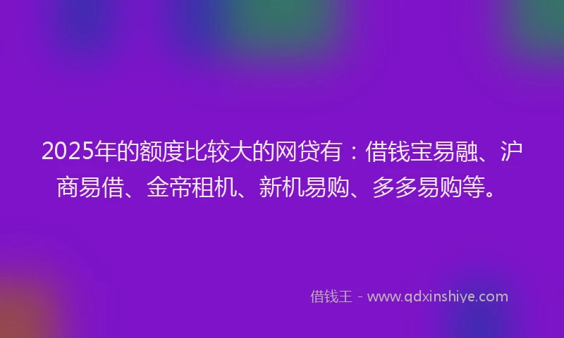 2025年的额度比较大的网贷有：借钱宝易融、沪商易借、金帝租机、新机易购、多多易购等。