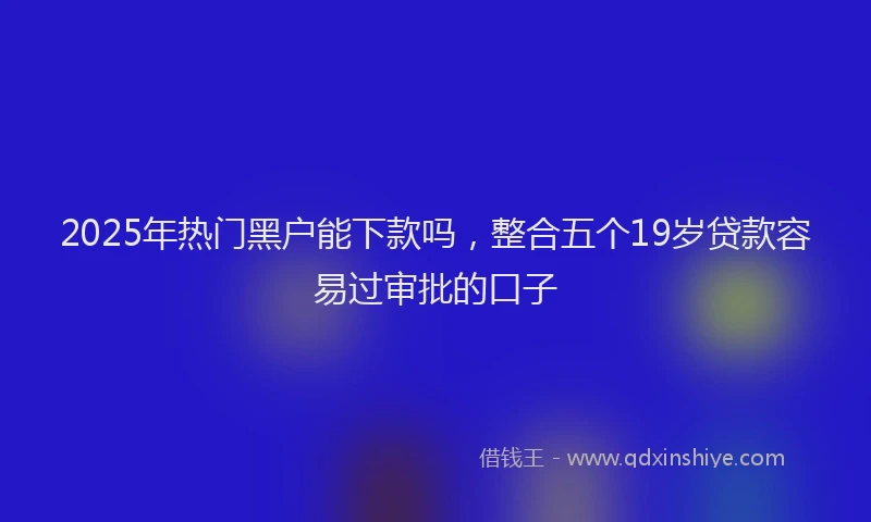 2025年热门黑户能下款吗，整合五个19岁贷款容易过审批的口子