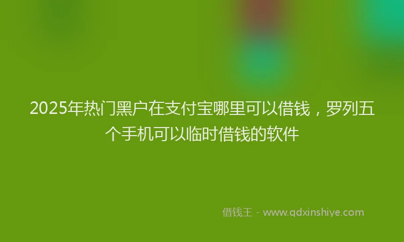 2025年热门黑户在支付宝哪里可以借钱，罗列五个手机可以临时借钱的软件