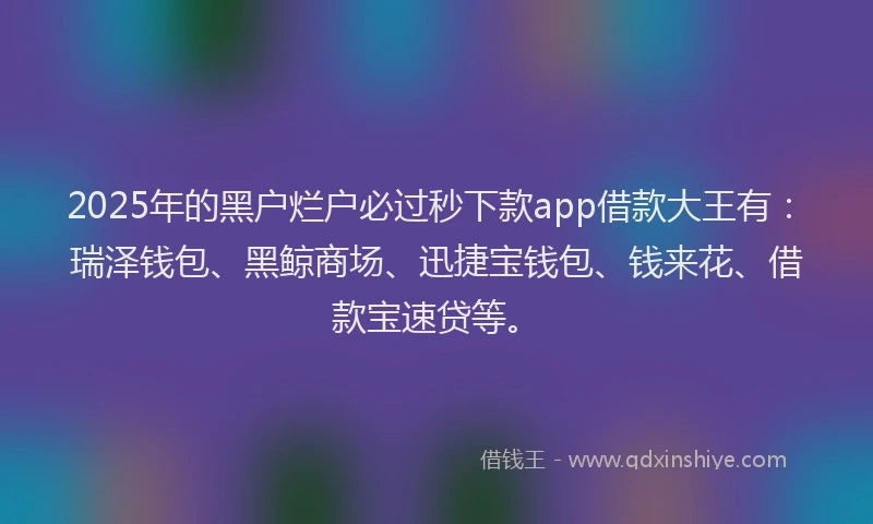 2025年的黑户烂户必过秒下款app借款大王有：瑞泽钱包、黑鲸商场、迅捷宝钱包、钱来花、借款宝速贷等。