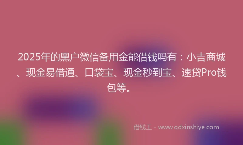 2025年的黑户微信备用金能借钱吗有：小吉商城、现金易借通、口袋宝、现金秒到宝、速贷Pro钱包等。