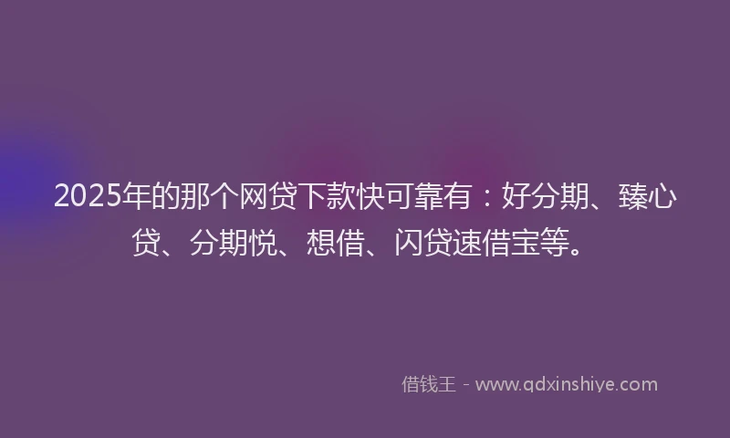 2025年的那个网贷下款快可靠有：好分期、臻心贷、分期悦、想借、闪贷速借宝等。