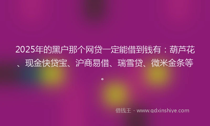 2025年的黑户那个网贷一定能借到钱有：葫芦花、现金快贷宝、沪商易借、瑞雪贷、微米金条等。