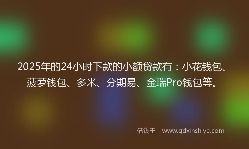 2025年的24小时下款的小额贷款有：小花钱包、菠萝钱包、多米、分期易、金瑞Pro钱包等。