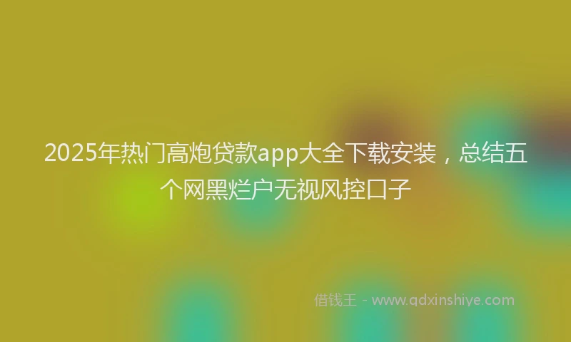 2025年热门高炮贷款app大全下载安装,总结五个网黑烂户无视风控口子