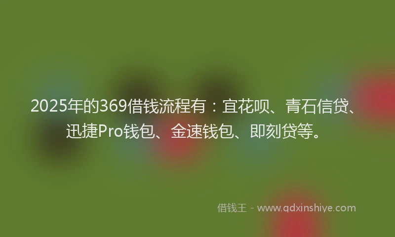 2025年的369借钱流程有：宜花呗、青石信贷、迅捷Pro钱包、金速钱包、即刻贷等。
