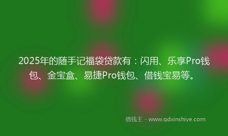 2025年的随手记福袋贷款有：闪用、乐享Pro钱包、金宝盒、易捷Pro钱包、借钱宝易等。