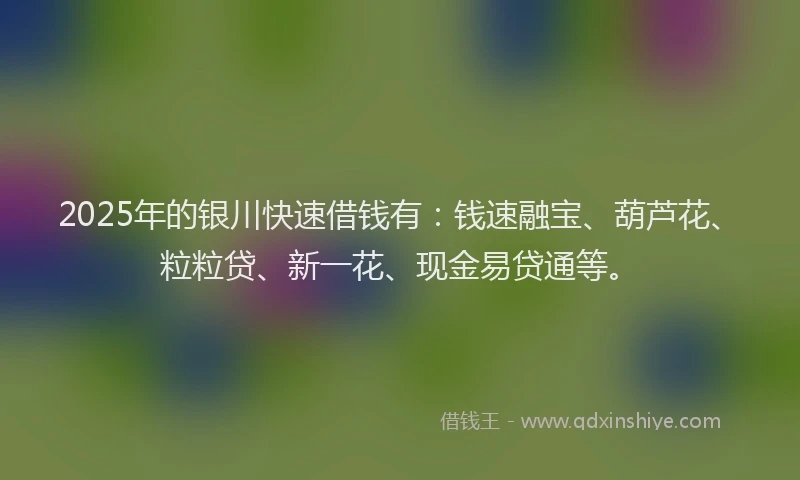 2025年的银川快速借钱有：钱速融宝、葫芦花、粒粒贷、新一花、现金易贷通等。