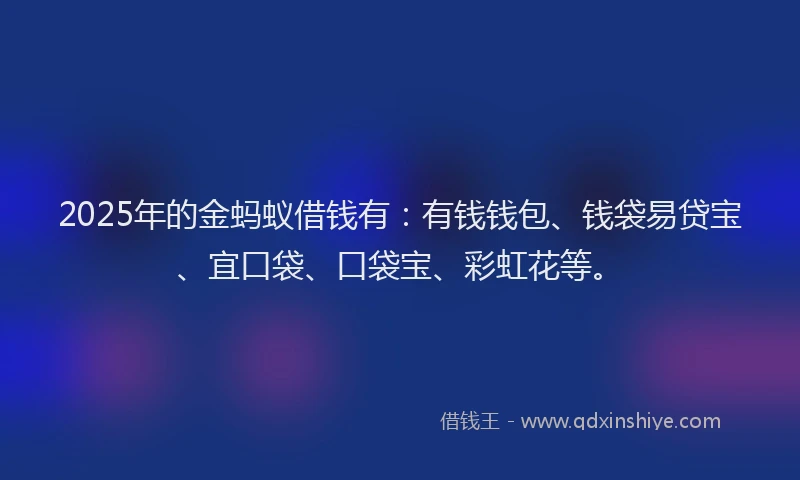 2025年的金蚂蚁借钱有：有钱钱包、钱袋易贷宝、宜口袋、口袋宝、彩虹花等。