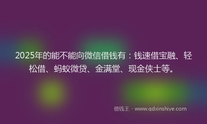 2025年的能不能向微信借钱有：钱速借宝融、轻松借、蚂蚁微贷、金满堂、现金侠士等。