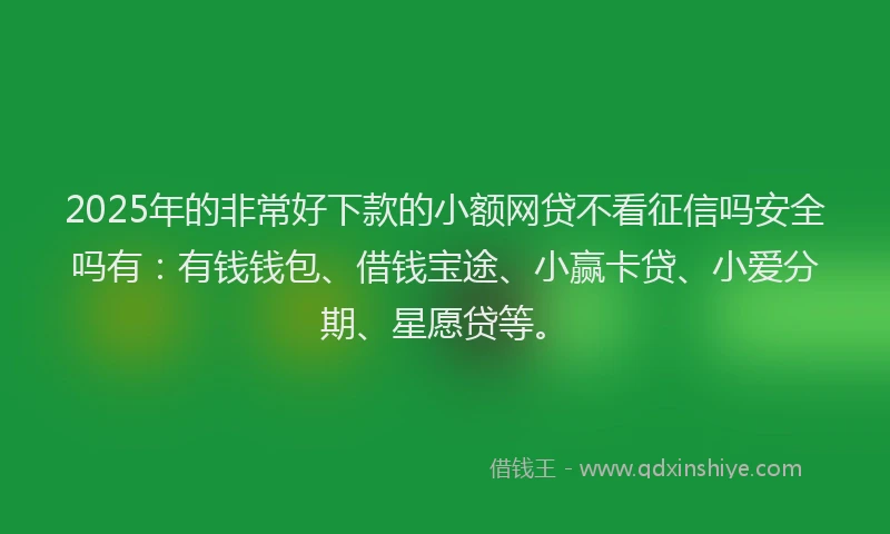2025年的非常好下款的小额网贷不看征信吗安全吗有：有钱钱包、借钱宝途、小赢卡贷、小爱分期、星愿贷等。