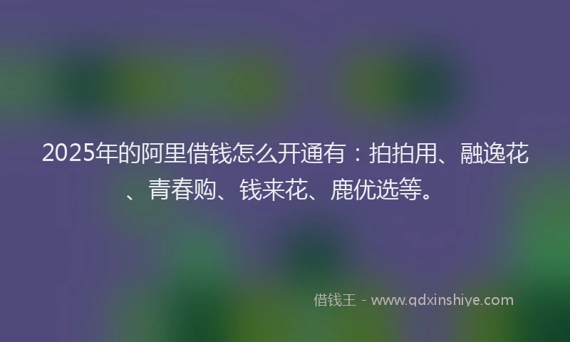 2025年的阿里借钱怎么开通有:拍拍用、融逸花、青春购、钱来花、鹿优选等。