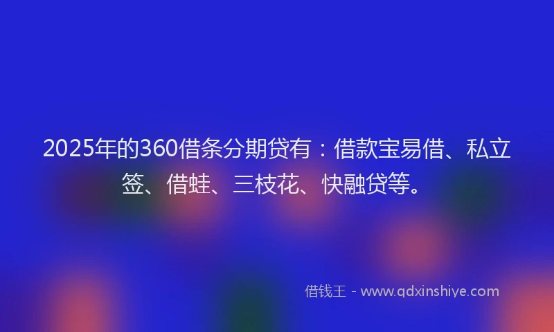 2025年的360借条分期贷有：借款宝易借、私立签、借蛙、三枝花、快融贷等。