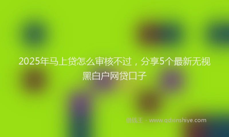 2025年马上贷怎么审核不过，分享5个最新无视黑白户网贷口子