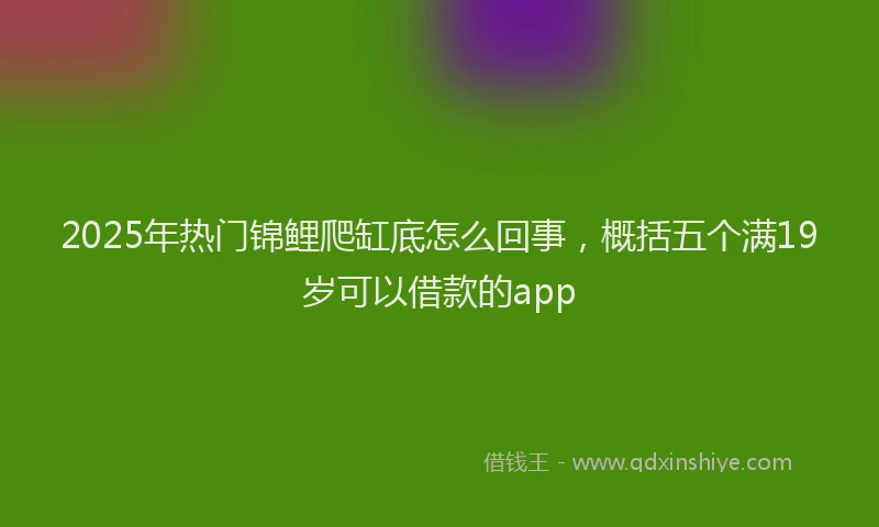 2025年热门锦鲤爬缸底怎么回事，概括五个满19岁可以借款的app