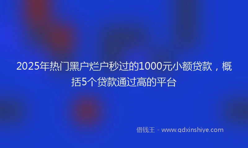 2025年热门黑户烂户秒过的1000元小额贷款，概括5个贷款通过高的平台