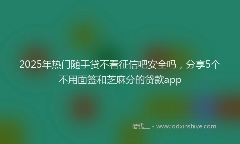 2025年热门随手贷不看征信吧安全吗，分享5个不用面签和芝麻分的贷款app