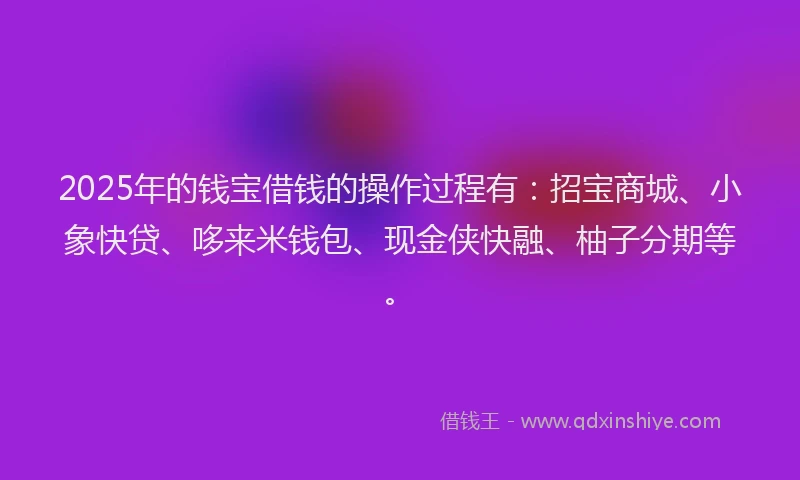2025年的钱宝借钱的操作过程有:招宝商城、小象快贷、哆来米钱包、现金侠快融、柚子分期等。