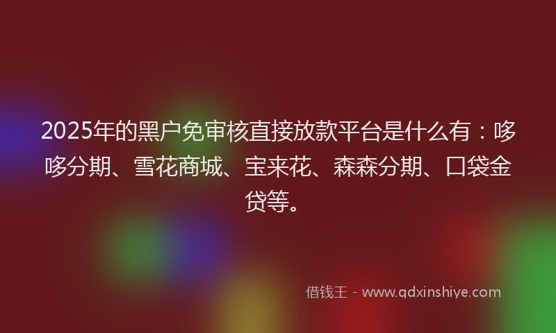 2025年的黑户免审核直接放款平台是什么有：哆哆分期、雪花商城、宝来花、森森分期、口袋金贷等。