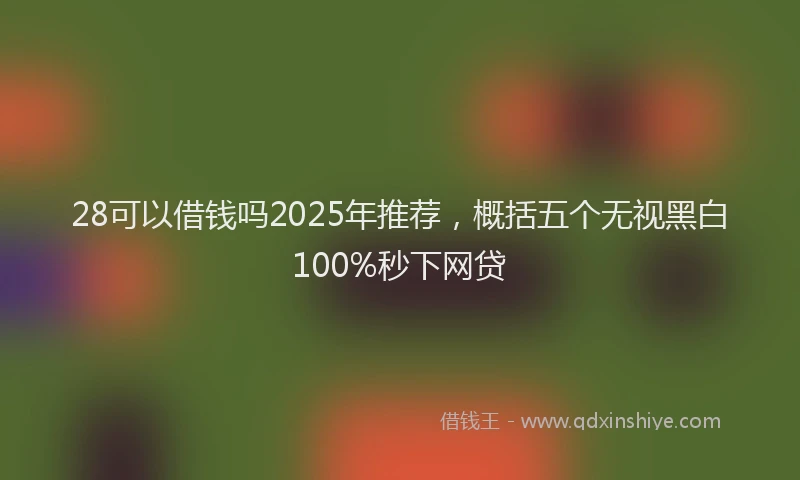 28可以借钱吗2025年推荐，概括五个无视黑白100%秒下网贷