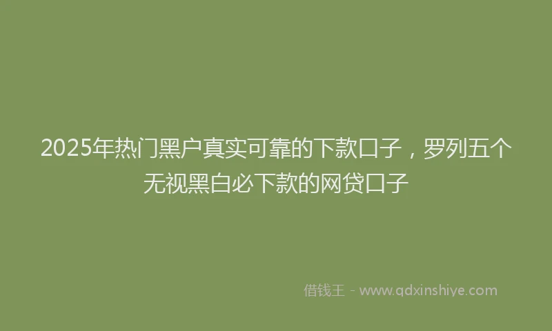 2025年热门黑户真实可靠的下款口子，罗列五个无视黑白必下款的网贷口子