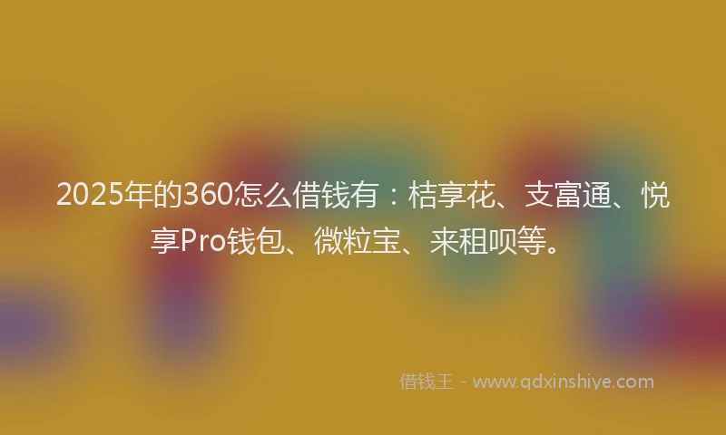 2025年的360怎么借钱有：桔享花、支富通、悦享Pro钱包、微粒宝、来租呗等。
