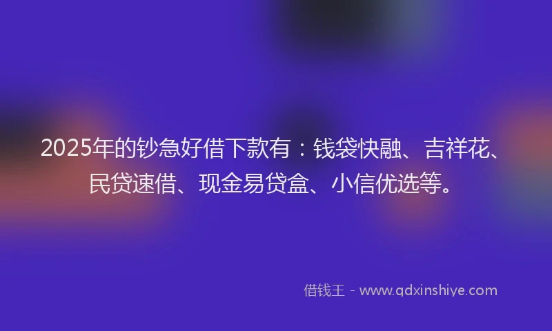 2025年的钞急好借下款有：钱袋快融、吉祥花、民贷速借、现金易贷盒、小信优选等。